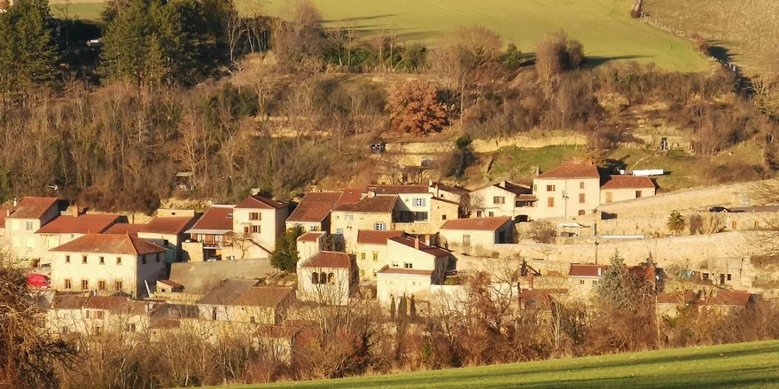 Le Logis d'Hortense Vic-le-Comte 0*,