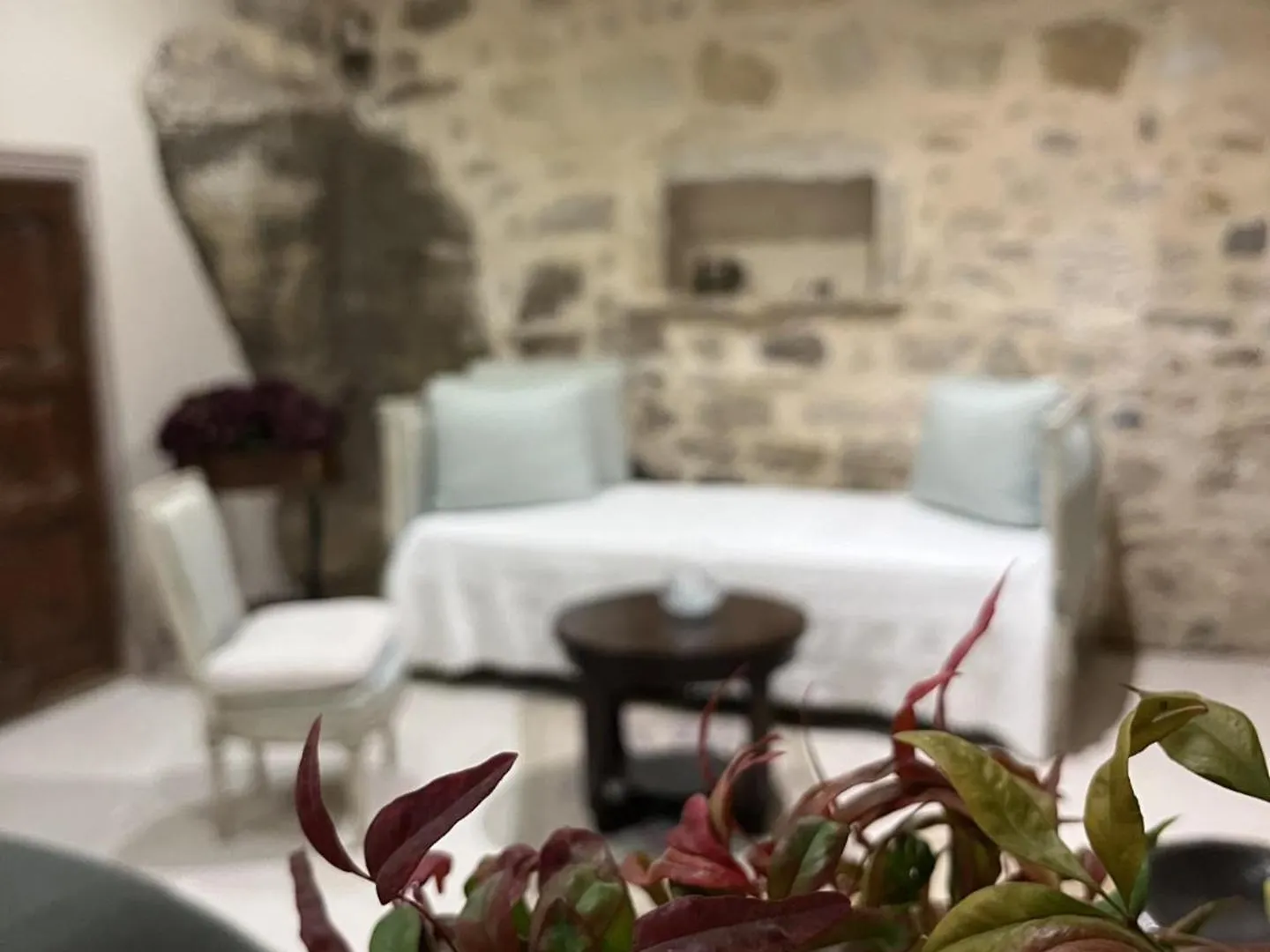 Le Logis d'Hortense Vic-le-Comte Vakantiehuis