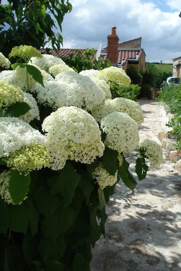 Le Logis d'Hortense Vic-le-Comte 0*,